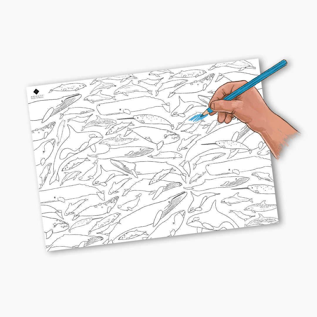 Ballenas. Vida secreta (3a edición con póster coloreable)