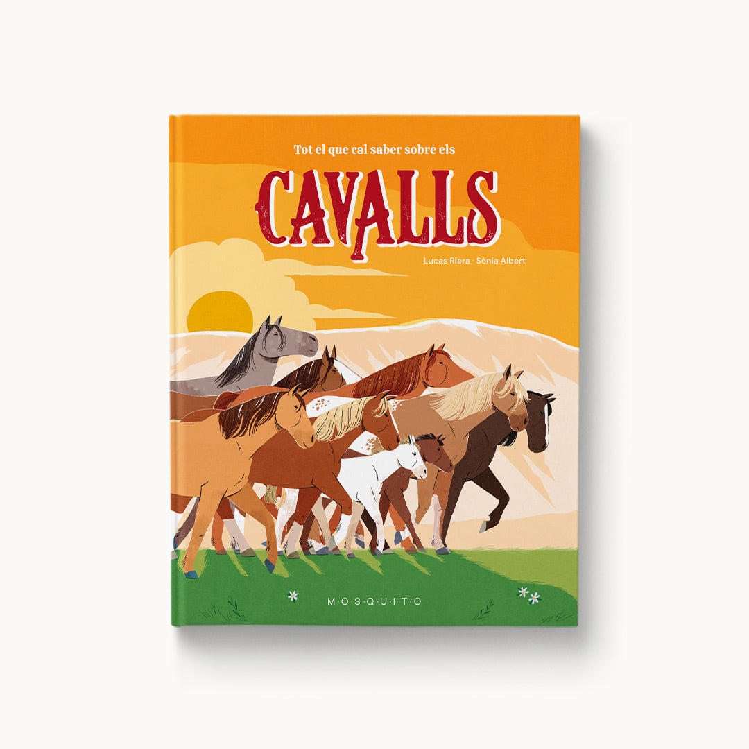 Todo lo que hay que saber sobre los caballos