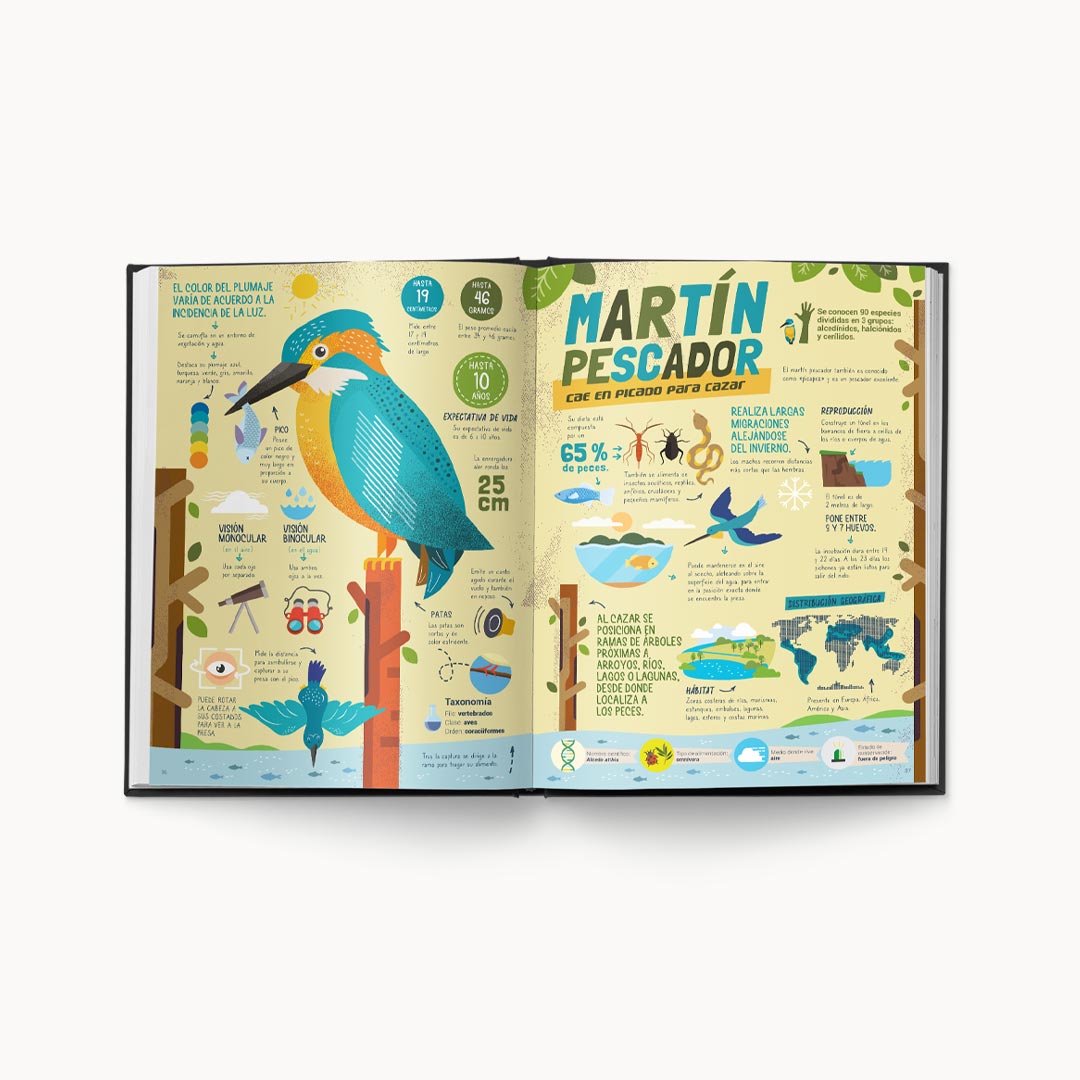 Cazadores: Notas sobre cómo cazan las especies