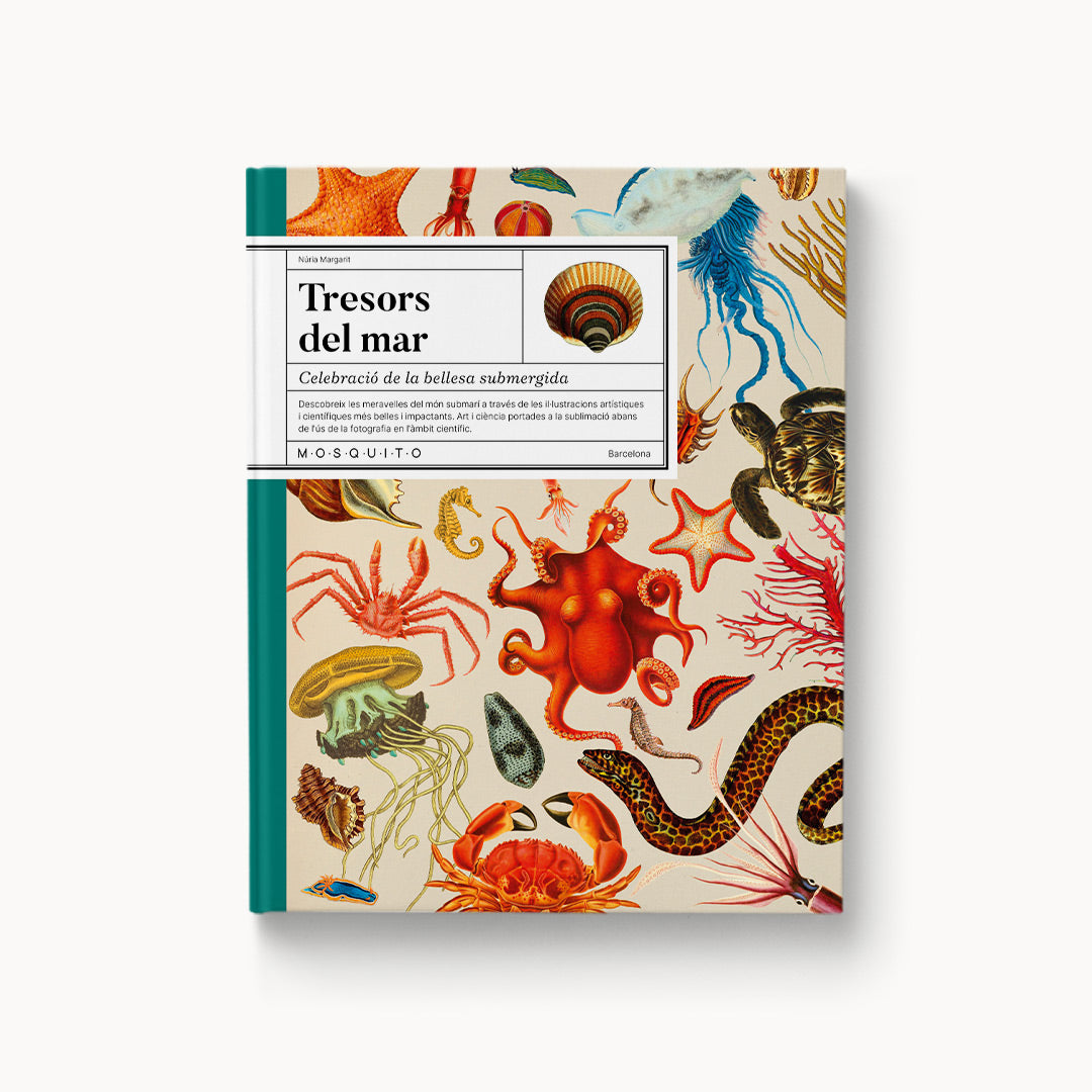Tesoros del mar. Celebración de la belleza sumergida