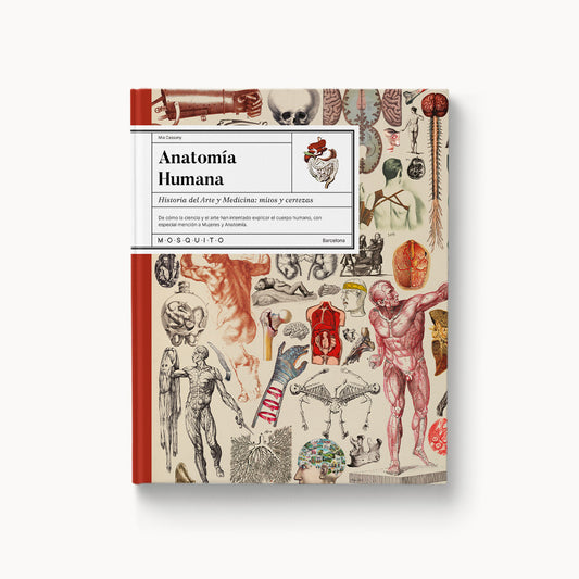 Anatomia humana. Història de l’Art i Medicina: mites i certeses